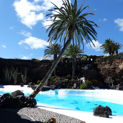 Der vielleicht schönste Garten im Atlantik