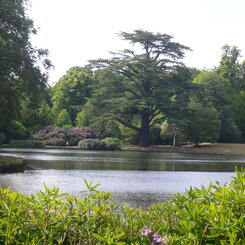 Inspiration für Beaulieu House